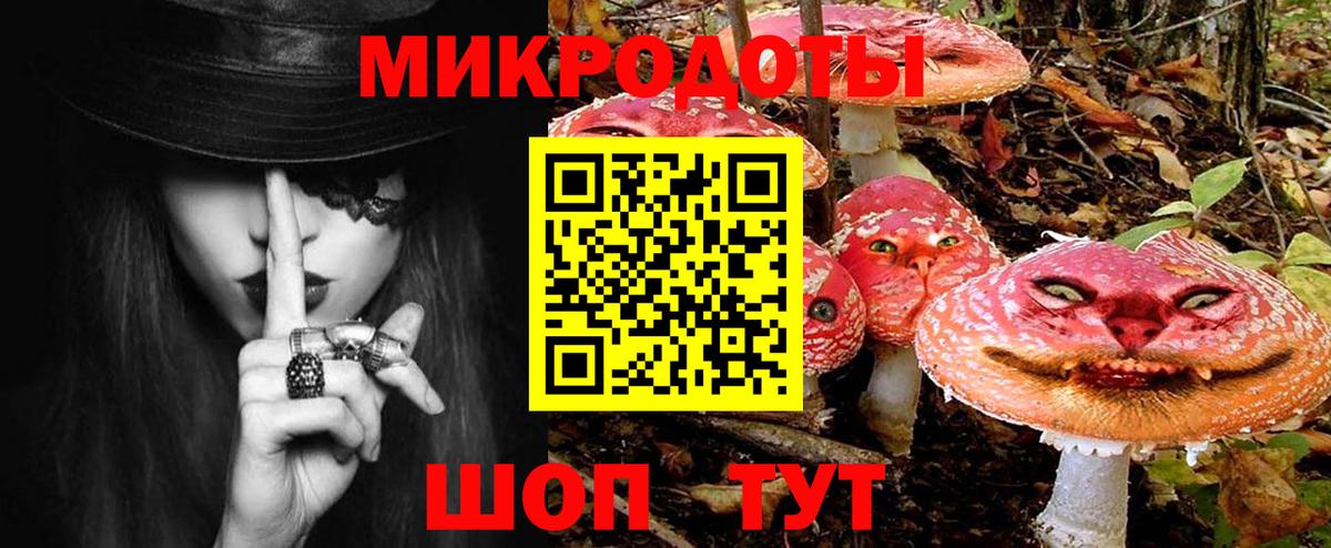 Жуковский  Псилоцибиновые грибы Magic Shrooms  как найти закладки  Вход с VPN 